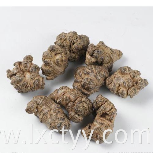 hot sale pseudo-ginseng foot tea